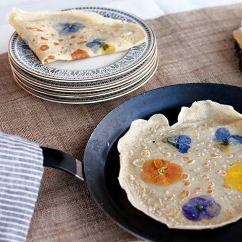 Розширені хвороби троянд і їх лікування